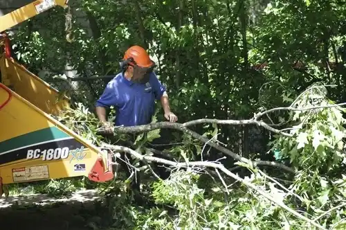 tree services Platte Woods